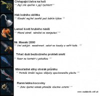 /album/epicke-zbrane2/zbrane-bojovnici-5-jpg/
